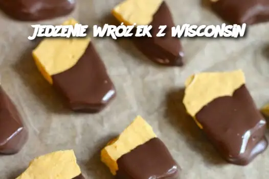 Jedzenie wróżek z Wisconsin