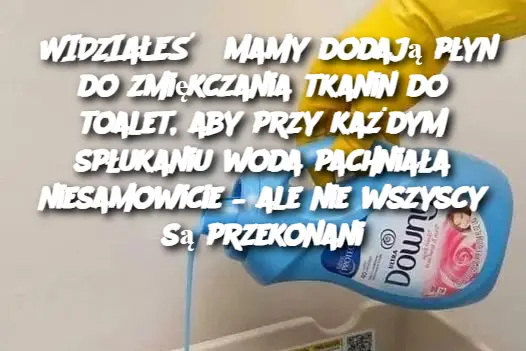 WIDZIAŁEŚ? Mamy dodają płyn do zmiękczania tkanin do toalet, aby przy każdym spłukaniu woda pachniała niesamowicie – ale nie wszyscy są przekonani