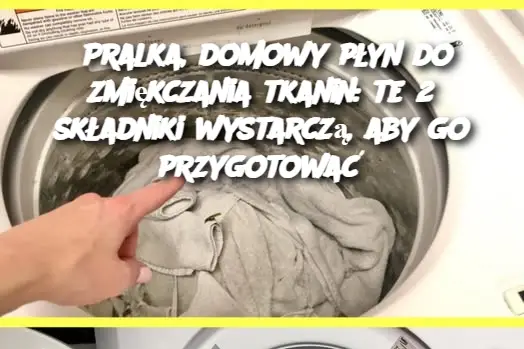 Pralka, domowy płyn do zmiękczania tkanin: te 2 składniki wystarczą, aby go przygotować