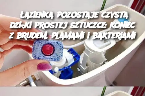 Łazienka pozostaje czysta dzięki prostej sztuczce: koniec z brudem, plamami i bakteriami