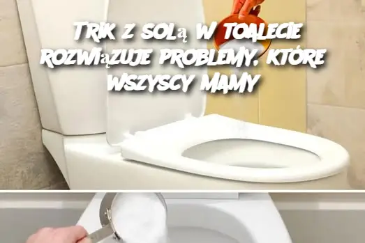 Trik z solą w toalecie rozwiązuje problemy, które wszyscy mamy