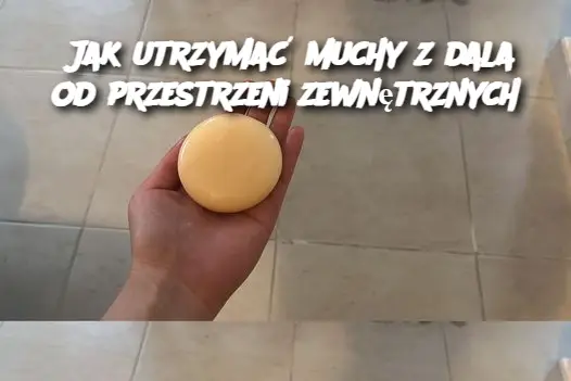 Jak utrzymać muchy z dala od przestrzeni zewnętrznych