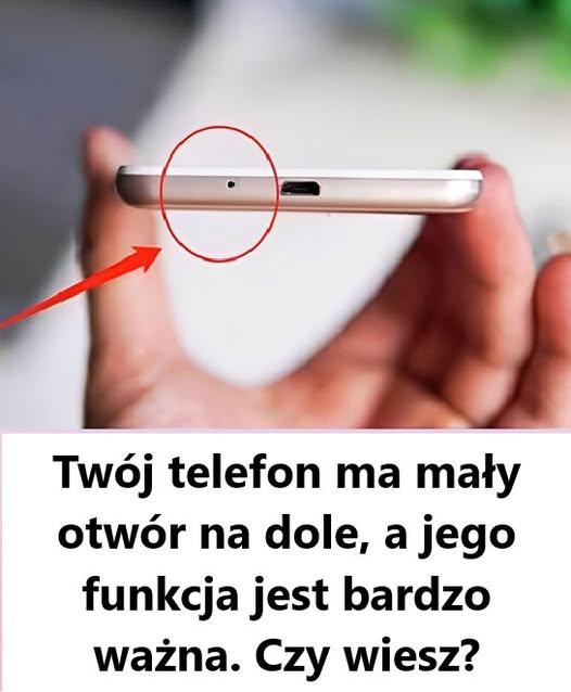 Tajemniczy Otwór na Dole Telefonu – Do Czego Służy?