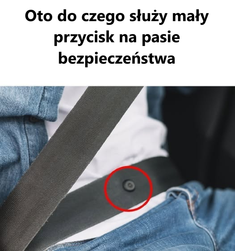 Więc DO TEGO to służy!