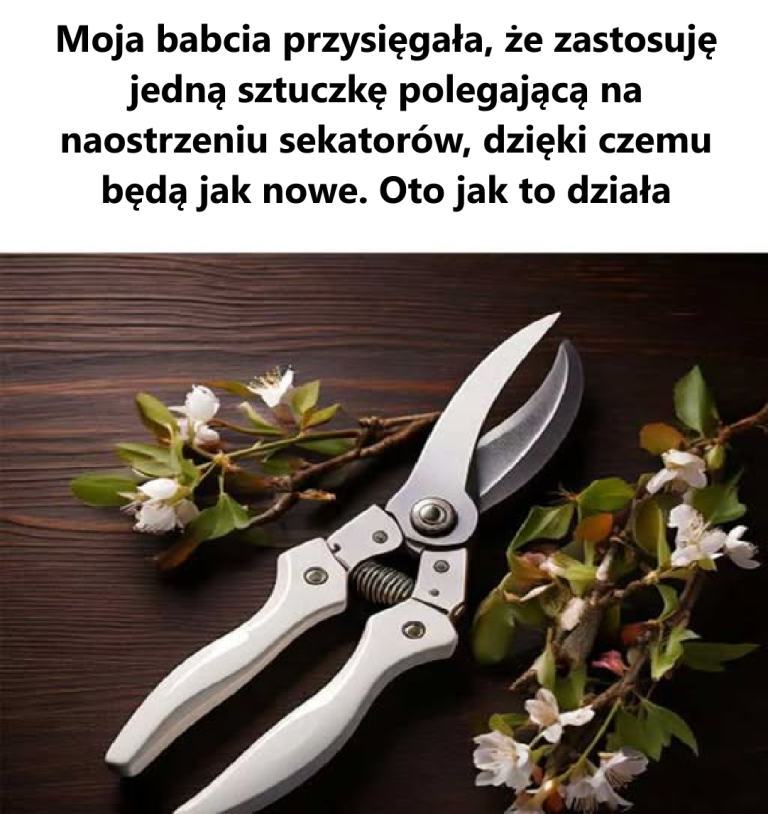 Wiedziała, co robi.