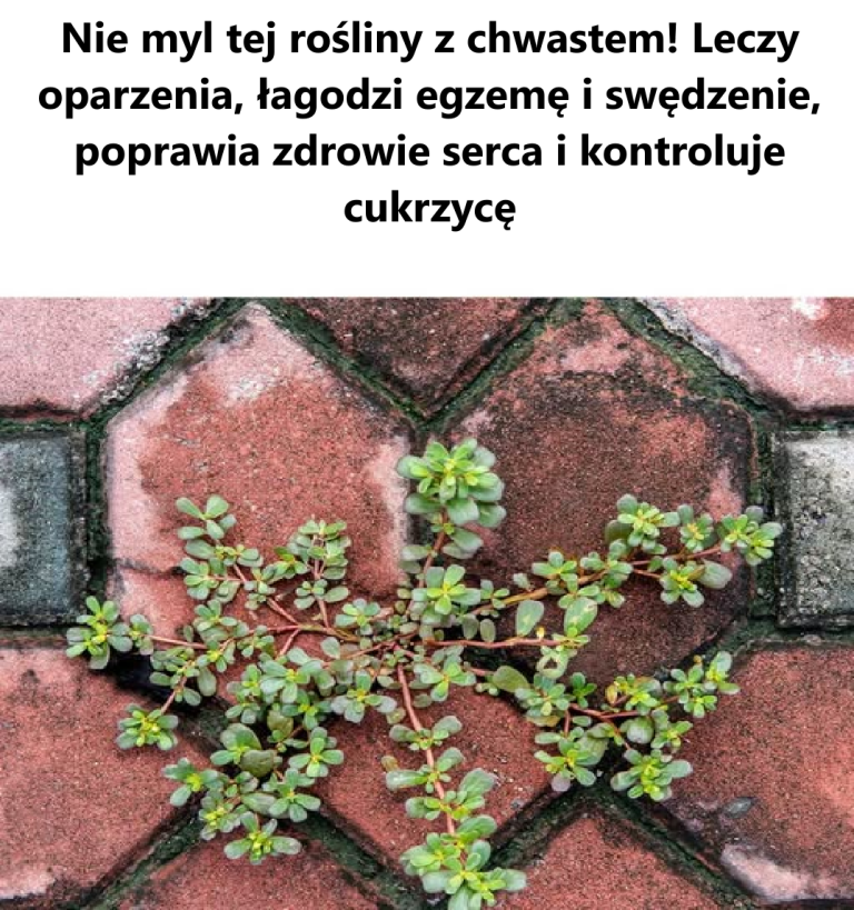 O kurczę! Nie wiedziałem tego