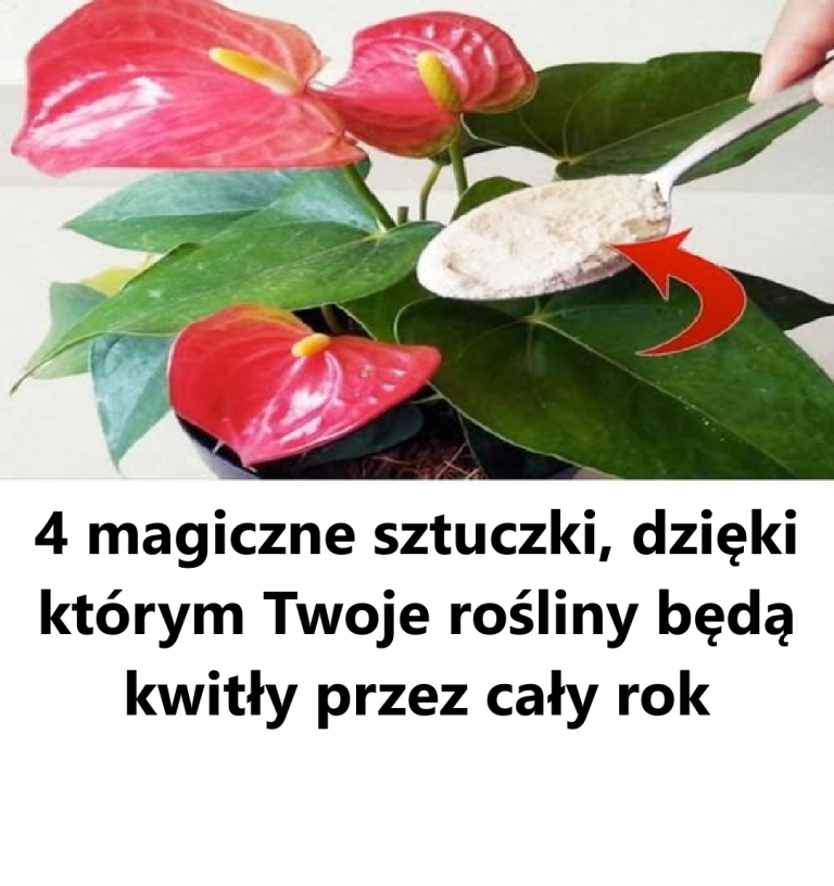 4 magiczne sztuczki, dzięki którym Twoje rośliny będą kwitły przez cały rok