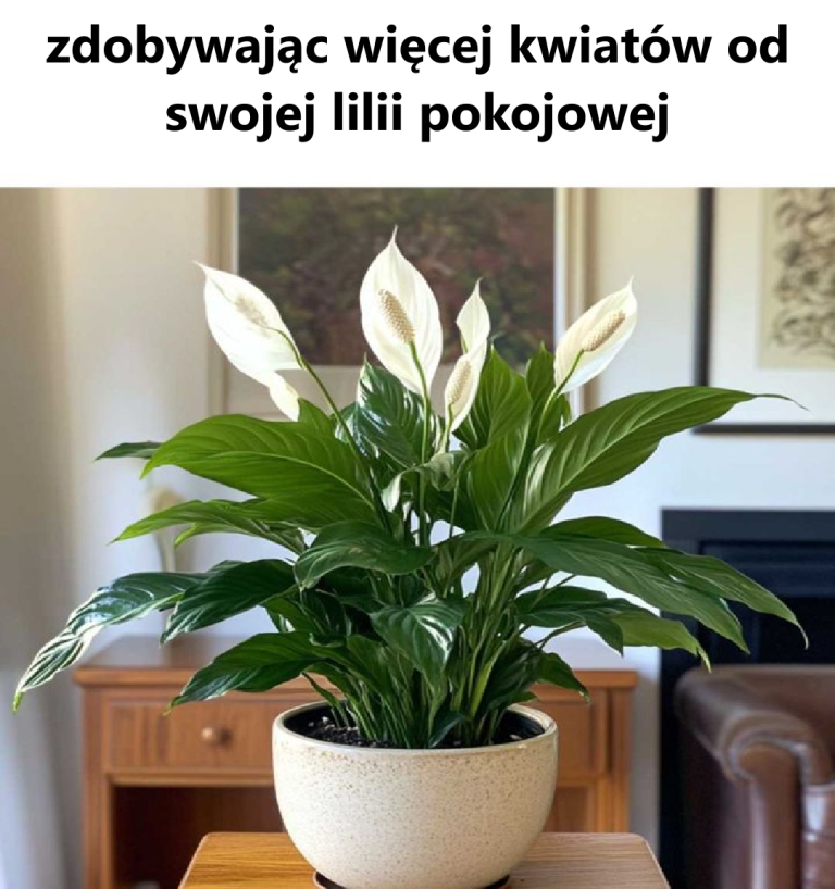 Mój zdecydowanie mógłby kwitnąć bardziej