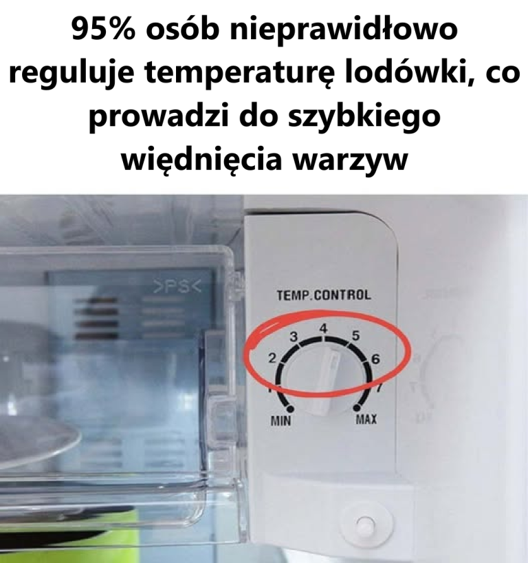 95% osób nieprawidłowo reguluje temperaturę w lodówce, co prowadzi do szybkiego więdnięcia warzyw