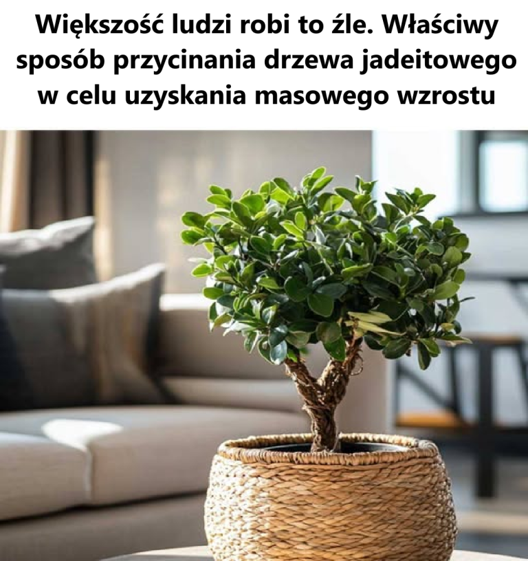 Przez całe życie robiłem to źle