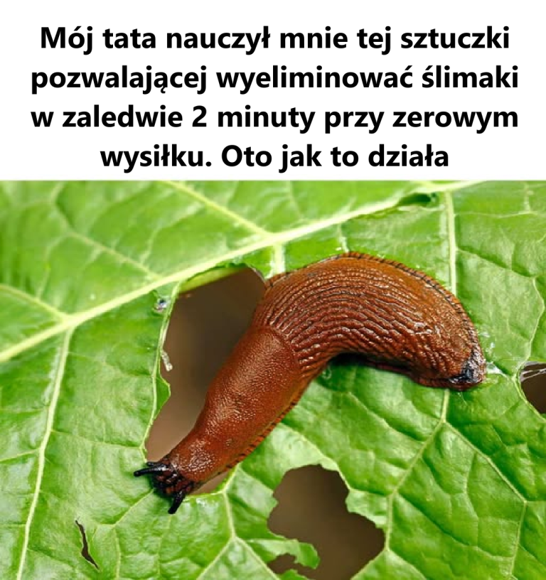 Teraz ta metoda jest taka sprytna! Chciałbym, żeby to ja na nią wpadłem!