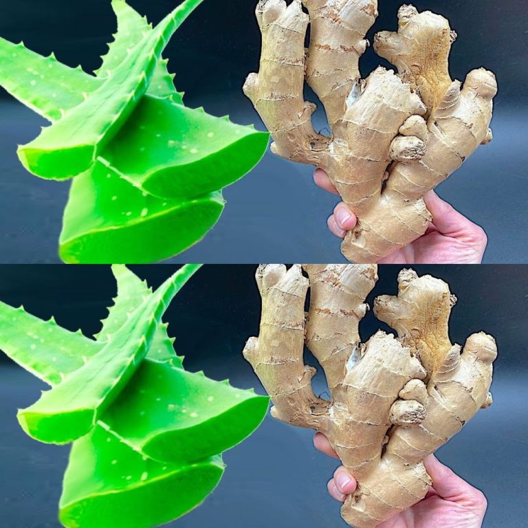 Odkryj sekret dekady dobrego zdrowia: aloes i imbir