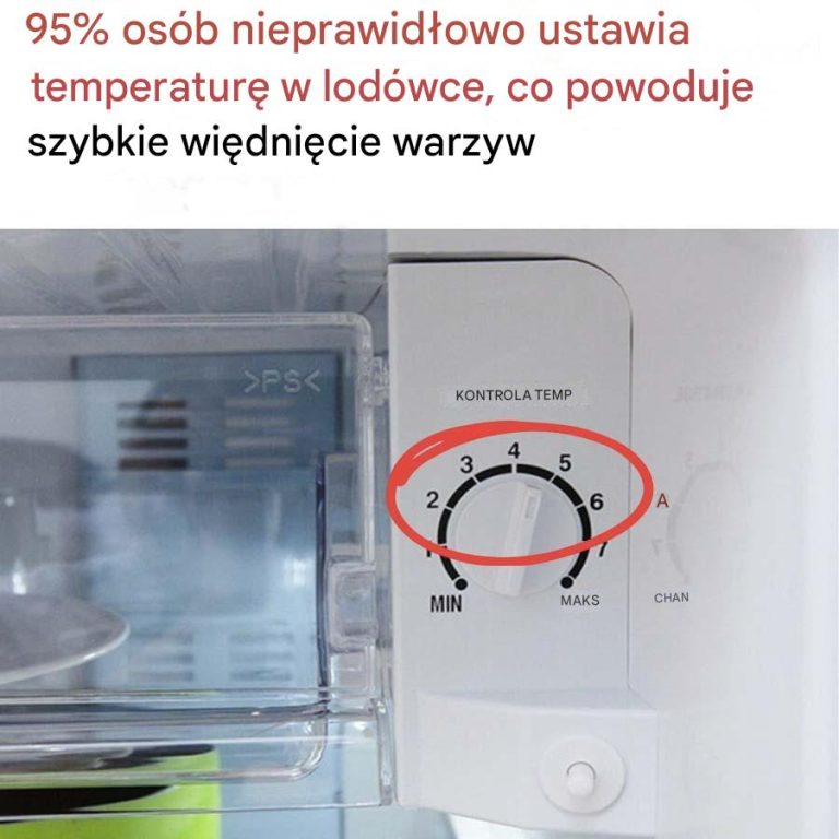 Jak Prawidłowo Ustawić Temperaturę w Lodówce?