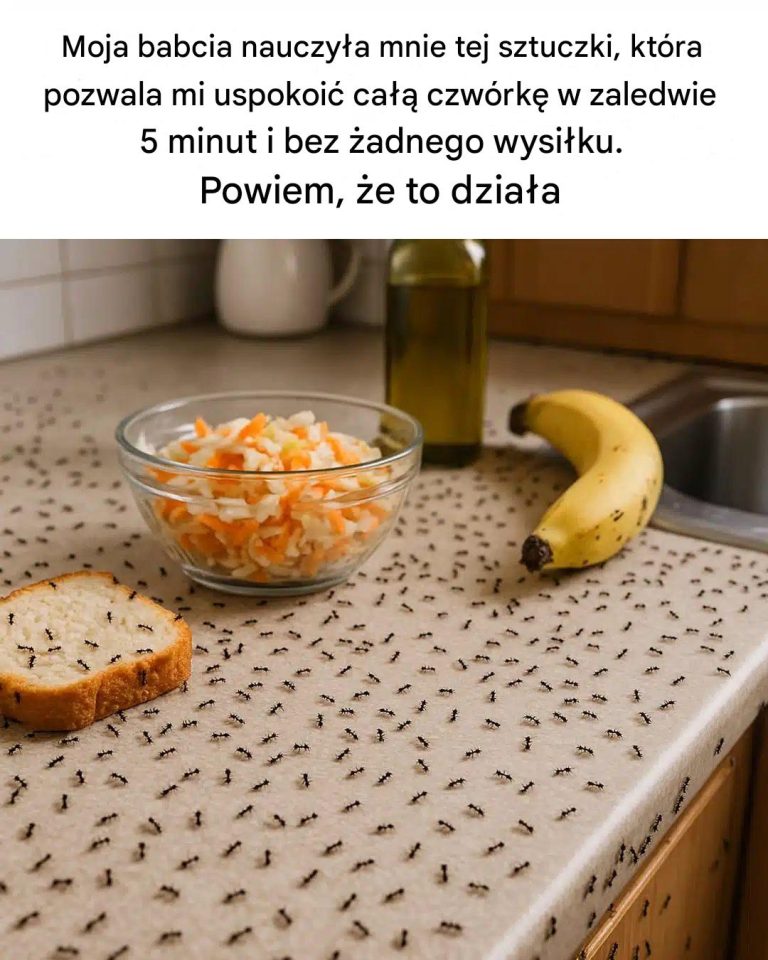 Rada babci: pozbądź się mrówek naturalnie i bez trucizny
