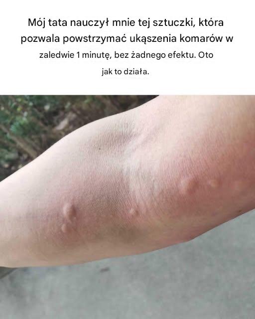 Nie mogę się doczekać, żeby spróbować tego następnym razem! Ci goście zawsze mnie rozwalają!