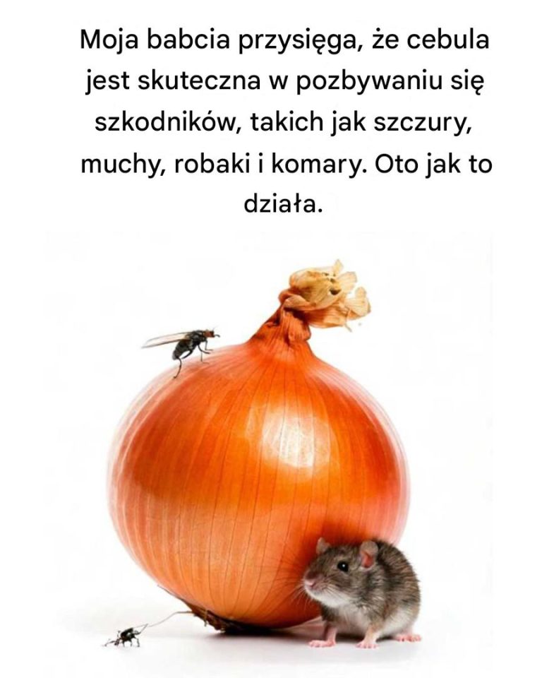Ona na to przysięga